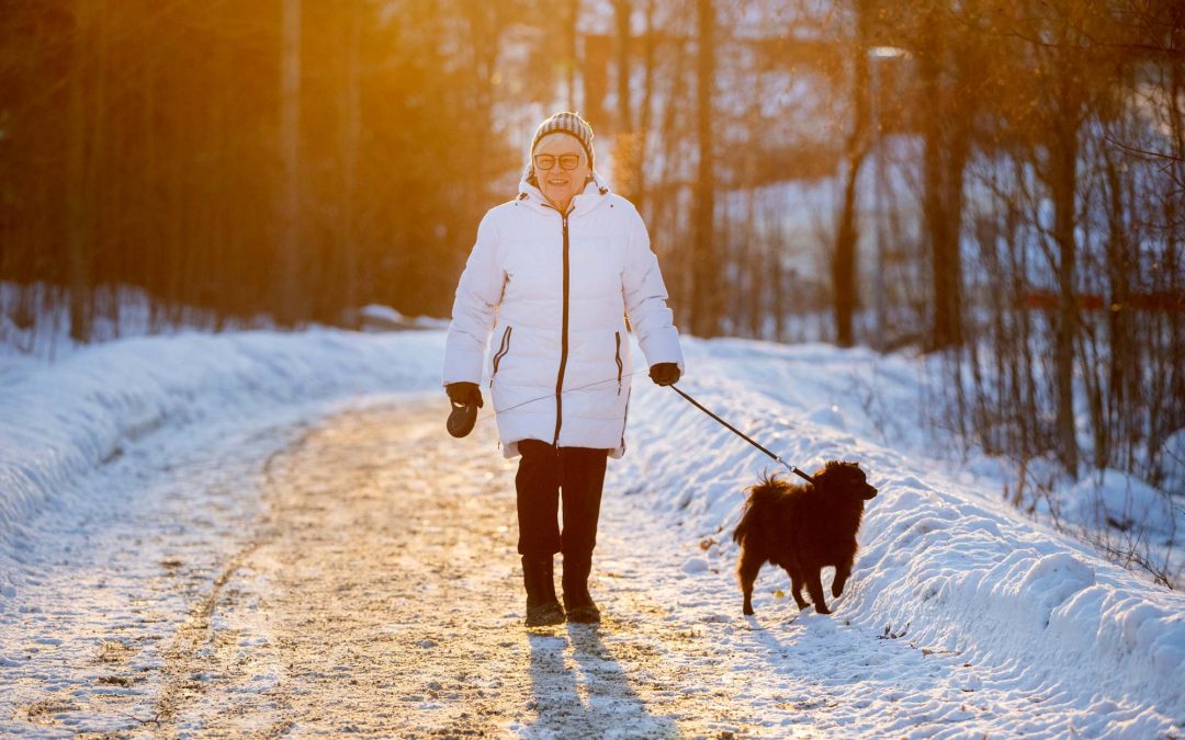 Toppolitikern Elvy fick hjärtinfarkt efter pensionen