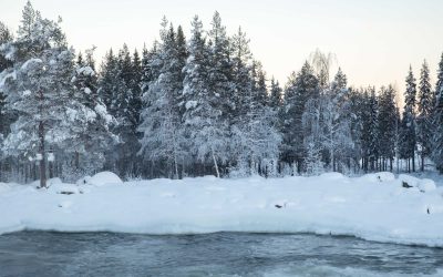 Så undviker du elprischock i vinter